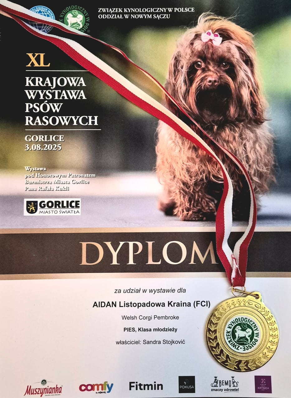 Gorlice - XL Krajowa Wystawa Psów Rasowych (O/Nowy Sącz), 03.08.2025