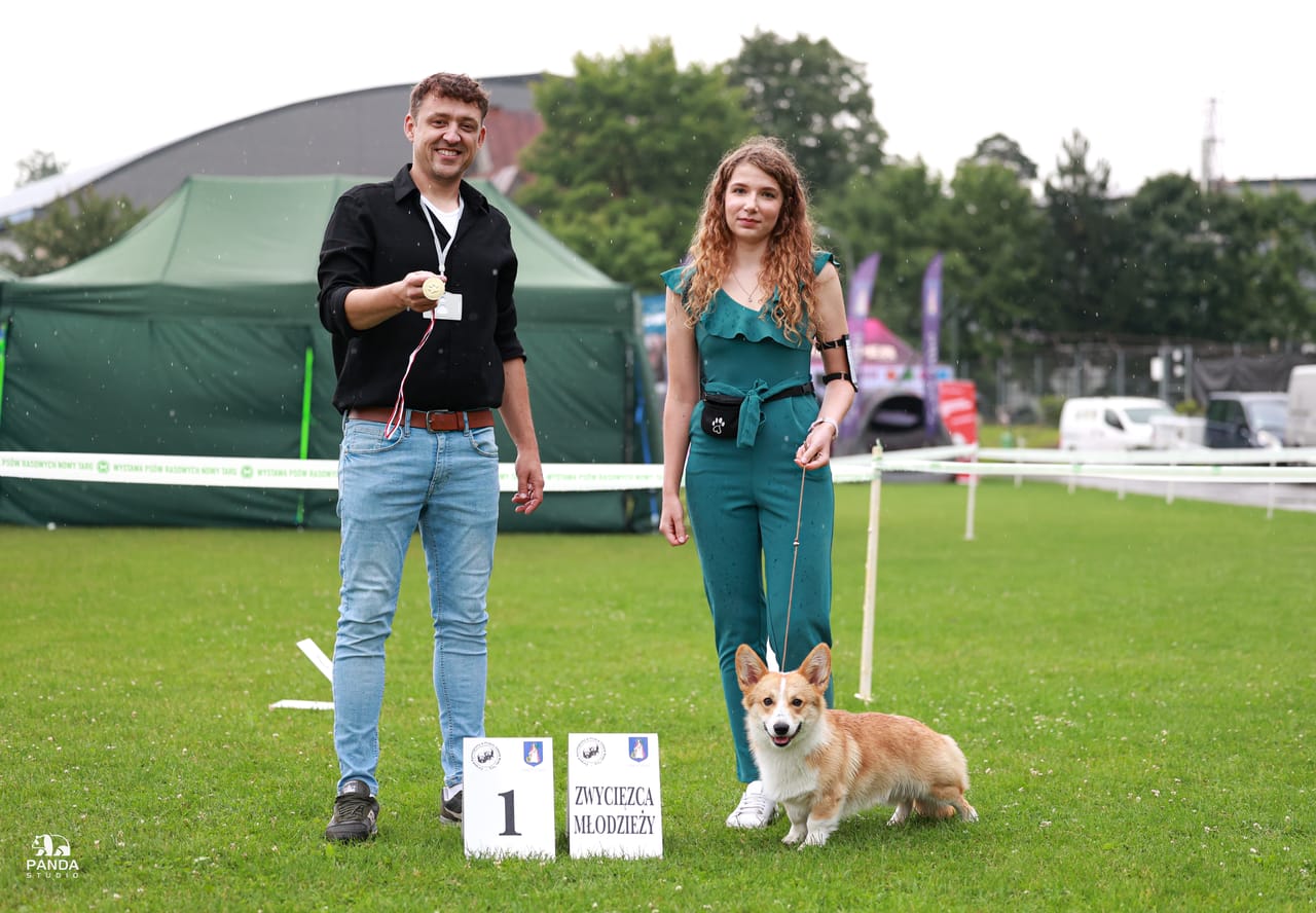 Nowy Targ - XXXIII Krajowa Wystawa Psów Rasowych, 26.07.2025